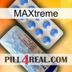 Maxtreme 39